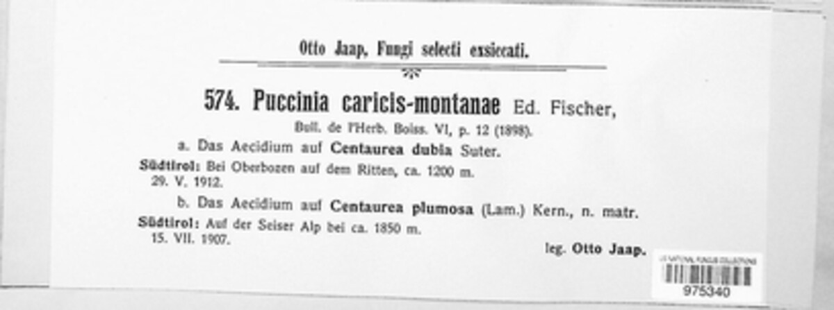 Puccinia caricis-montanae image